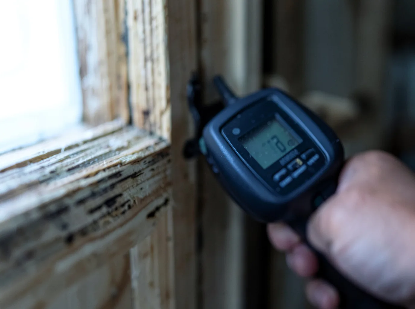 Moisture Inspection And Documentation in Garfield, MN